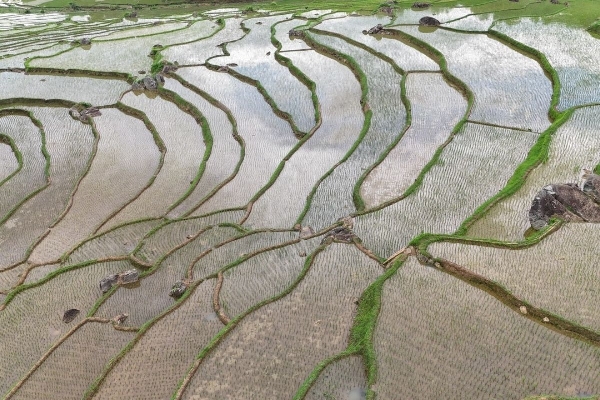 11 Days / 10 Nights -Sapa TuLe  MuCangChai MocChau PuLuong - photo 47